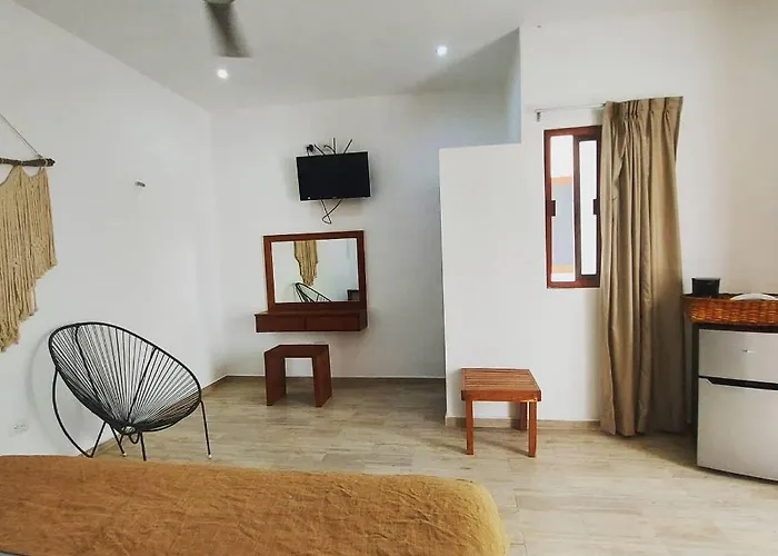 Palma Estudios